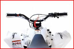 Quad FXR150 PITSTERPRO sandiego-bike Auxerre