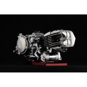 Moteur 190cc boite 5 ( V2 FD Street Model) DAYTONA