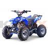 Quad Raptor bleu (110cc) KEROX