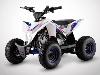 Quad 110cc (Kwixi bleu) DIAMON 