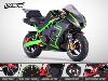 Pocket bike GP verte (ZR49) DIAMON