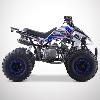 Quad typhon (125cc bleu) DIAMON