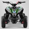 Quad 110cc (FOX vert 2020) APOLLO Motors