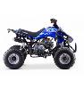 Quad Speebird bleu (110cc) KEROX