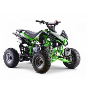 Quad Speebird vert (110cc) KEROX