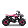 Pocket quad 49cc ( Cobra 6 rose ) APOLLO
