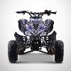 Quad typhon (110cc bleu) DIAMON