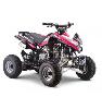 Quad Speebird rose (110cc) KEROX