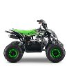 Quad (Cobra 110cc) vert Sano APOLLO Motors 