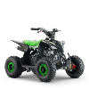 Quad (Cobra 110cc) vert Sano APOLLO Motors 